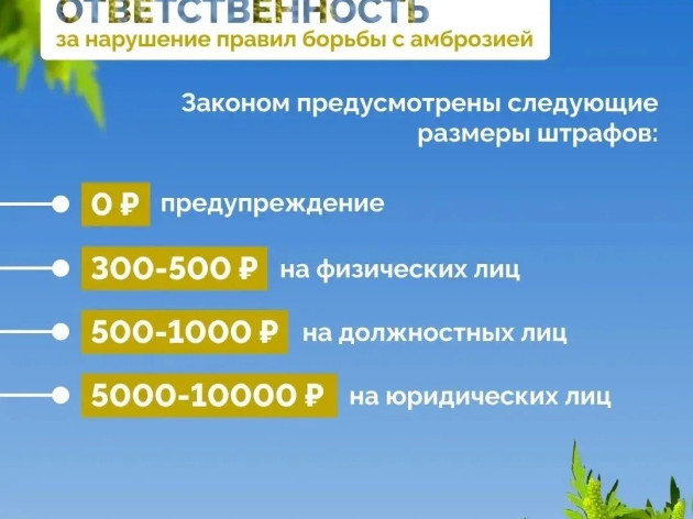 Борьба с амброзией